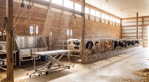 Elanco Animal Health SEC Fair Fund